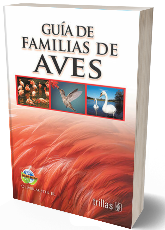 Guía de familias de aves