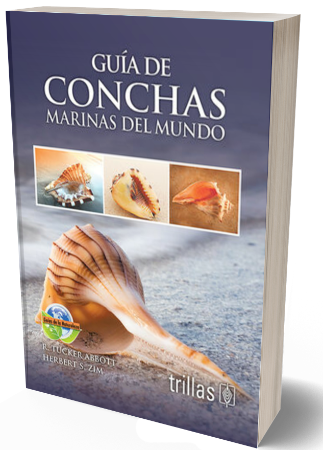 Guía de conchas marinas del mundo
