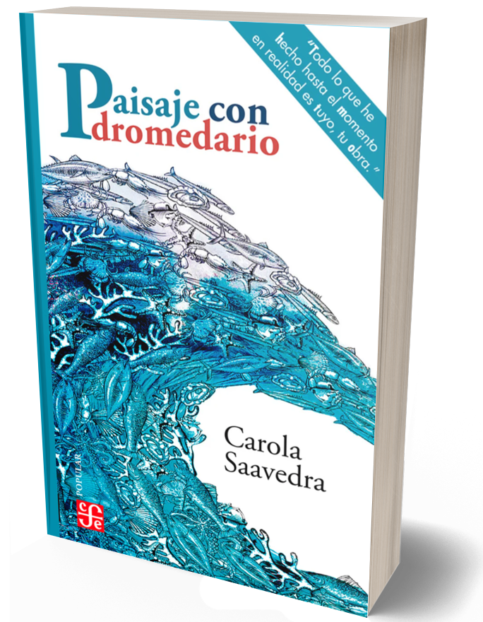 Paisaje con dromedario